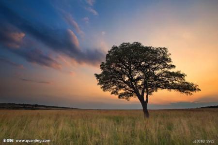 ּ̫ſعȨת йΪعɹɶ