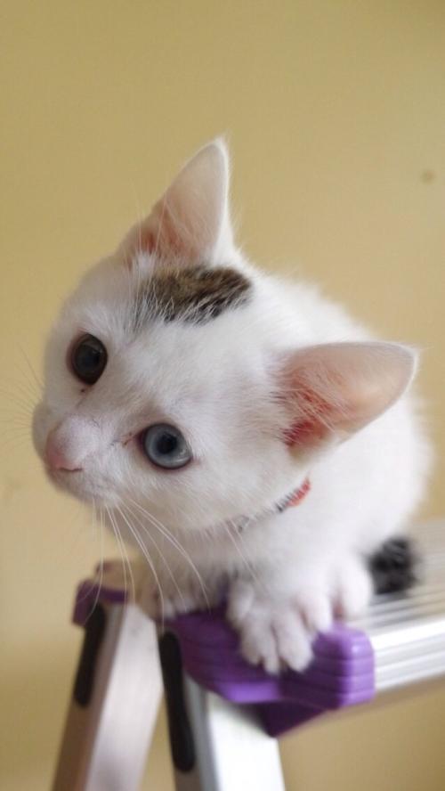 ÉòÑôÈ«Ãæ½øÈëսʱ״̬ ¼á¾ö·ÀÖ¹ÒßÇéÂûÑÓÀ©É¢