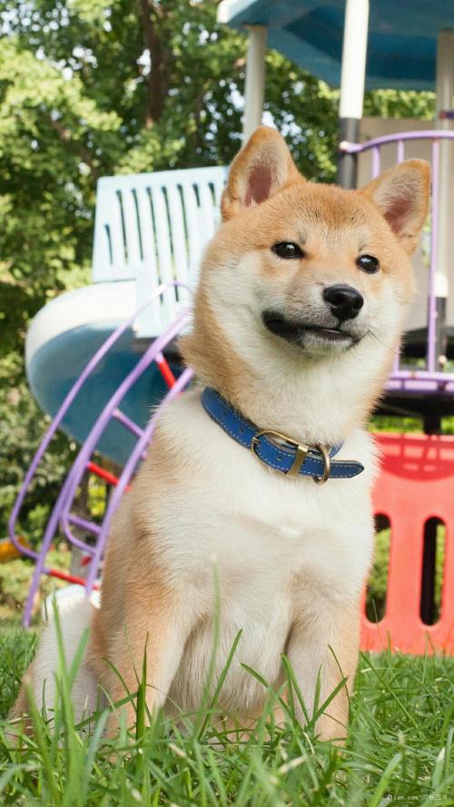 й½ϳƫ ȫůorȫ䣿