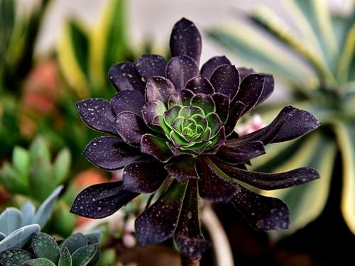 ×îÇ¿º®³±À´Ï®£¬ÃºµçÆøÈ«Á¦±£¹©½øÐÐʱ